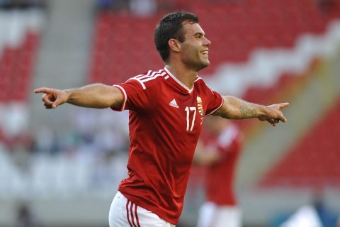 nikolics nemanja (Array)