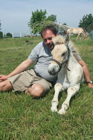 pócs jános (Array)