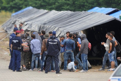 röszkei előállító (Array)