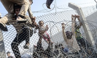 szíriai menkültek (Array)