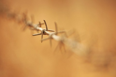 szögesdrót (Array)