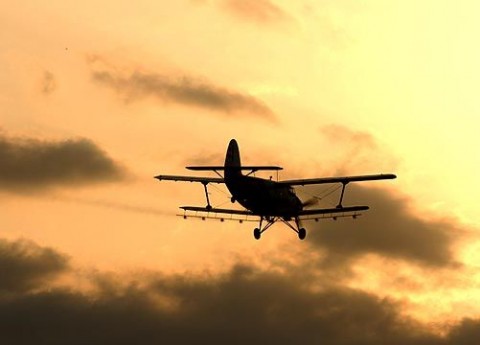 szunyogirtas(210x140)(1).jpg (Array)