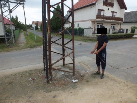 tóalmási kocsitolvaj (Array)