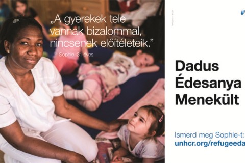 unhcr kampány (Array)