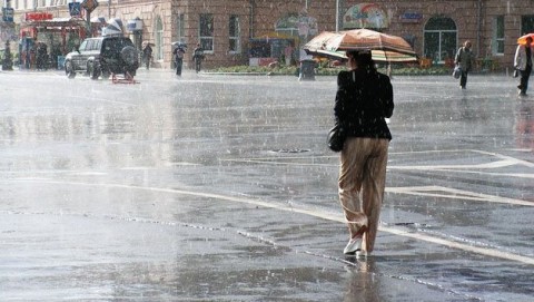 zapor(430x286).jpg (Array)