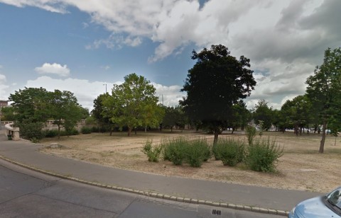 zöld pardon (Array)