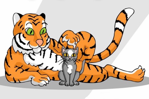 A macskaszex senkinek sem jó (Array)