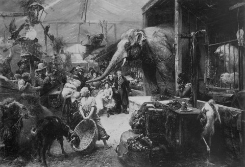 Allatkert(960x640).jpg (Array)