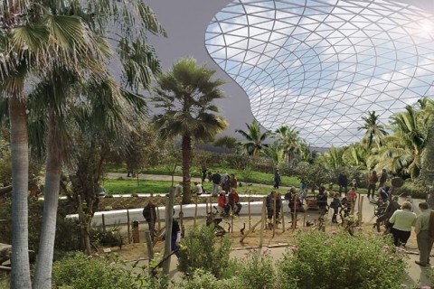 Allatkert(2)(210x140).jpg (Array)