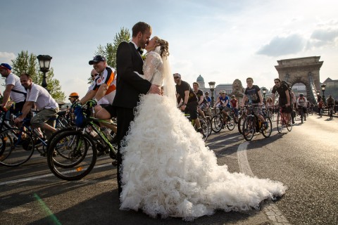 Critical Mass (Array)