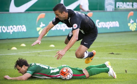 Hajnal Tamás (Array)