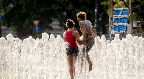 Kánikula 03 2 (Array)