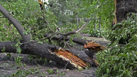 Kidolt-fa(1)(960x640).jpg (Array)