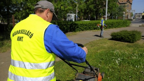 Kozmunkas-Vasarhelyen(210x140).jpg (Array)