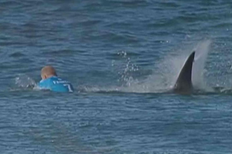 Mick-Fanning(960x640).jpg (Array)