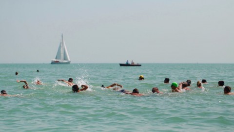 Öbölátúszás (Array)