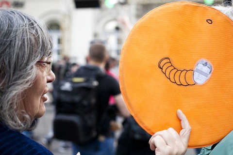 Orbán Viktor, demonstráció (Array)