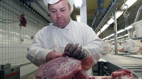 Papai-hus(210x140).jpg (Array)