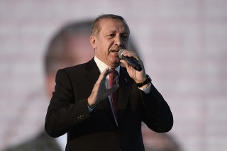 Recep Tayyip Erdogan (Array)