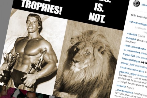 Schwarzenegger, Cecil (Array)