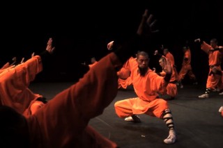 Shaolin harcos (Array)