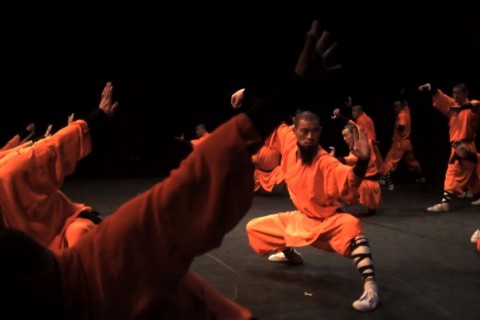 Shaolin harcos (Array)