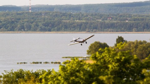 Szúnyogirtás a Balatonnál (Array)