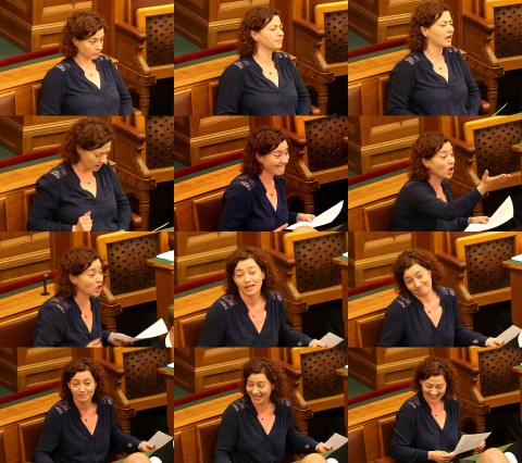 Vadai parlament (Array)