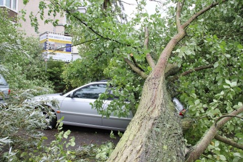 Vihar Hollandiában (Array)