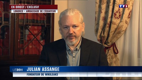 assange (Array)