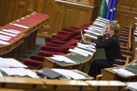 bertha szilvia (Array)