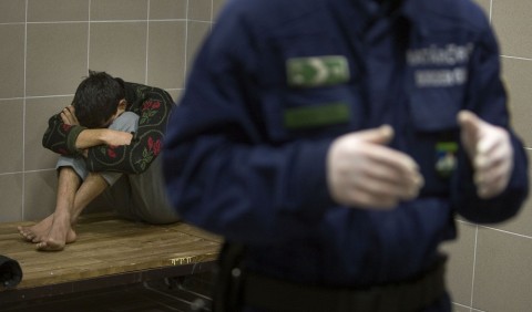 bevandorlas(210x140).jpg (Array)