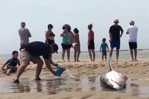 capamentes(960x640).jpg (Array)