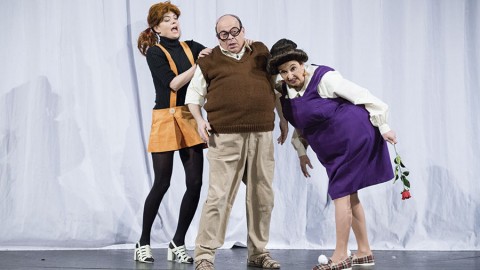 cseh mézga család (Array)