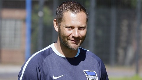 dárdai pál (Array)