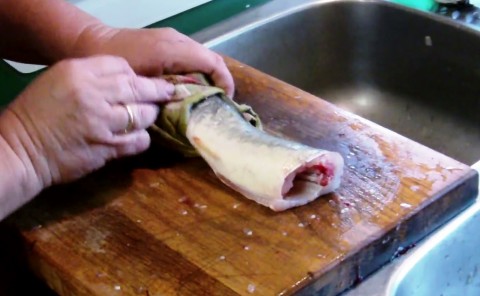 élő haltetem (Array)