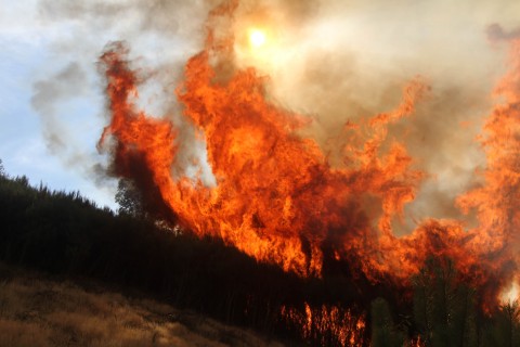 erdotuz(960x640).jpg (Array)