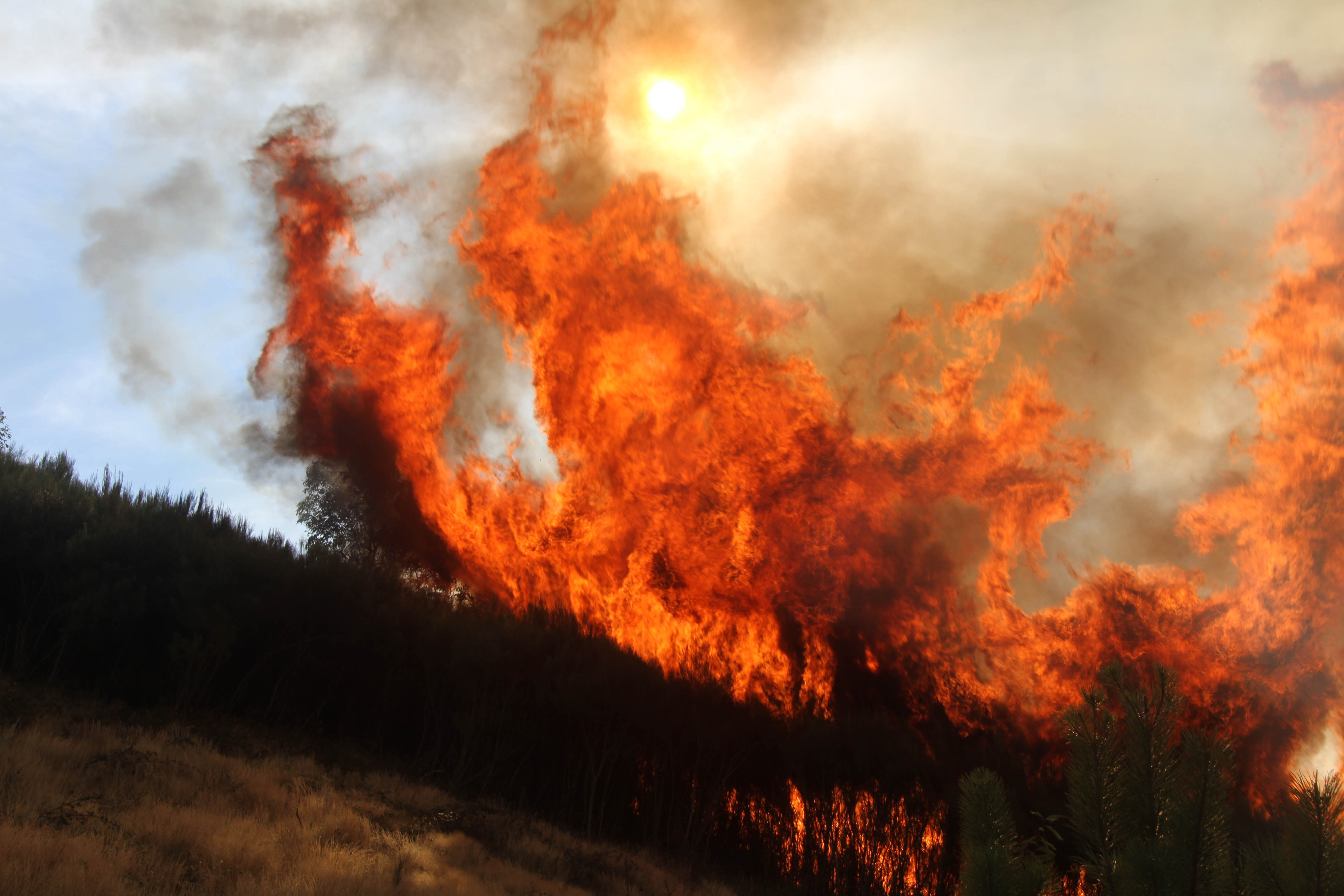 erdotuz(960x640).jpg (Array)