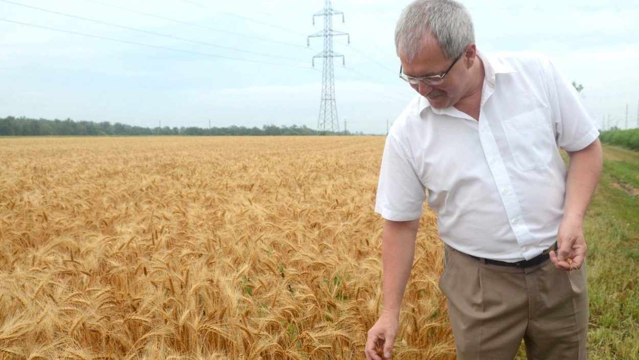 fazekas-sandor(960x640).jpg (Array)