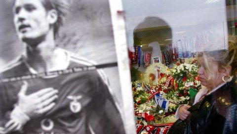 fehér miklós (Array)