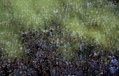 ferencvárosi szurkolók (Array)