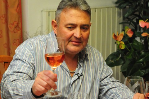 gesztesi-karoly(650x433).jpg (Array)