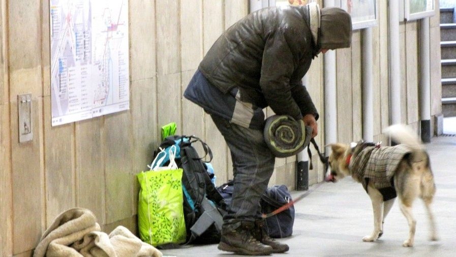 hajléktalan (Array)