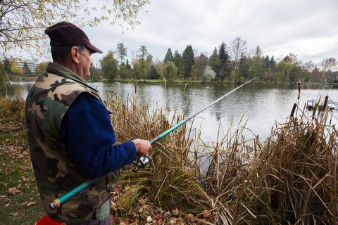 horgasz(210x140).jpg (Array)