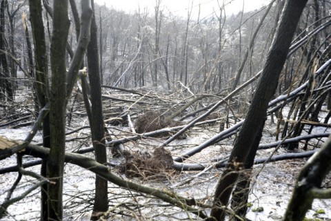 jegkar-Dobogokon(210x140).jpg (Array)