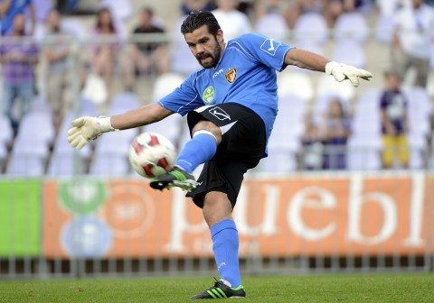 kemenes szabolcs (Array)