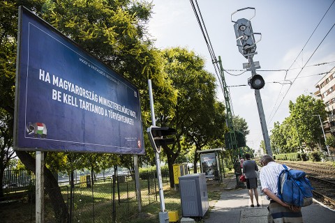 kétfarkú kutya plakát (Array)