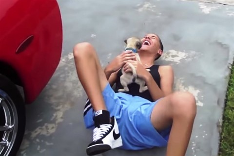 kiskutya-boldogsag(960x640).jpg (Array)