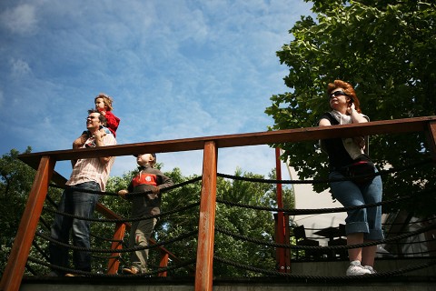 kopaszi gát (Array)