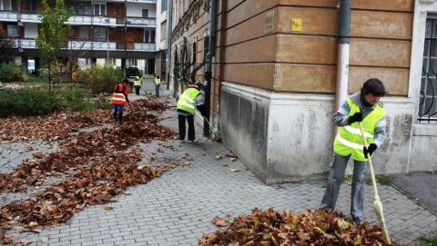 közmunkások esztergomban (Array)